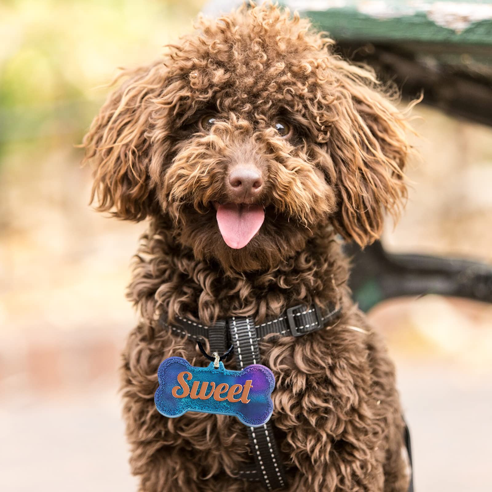 Pet Tag Silicone Mold Set - Cute DIY Keychain Molds for Resin, Epoxy, Polymer Clay | Dog Bone, Cat, Heart & Paw Shapes