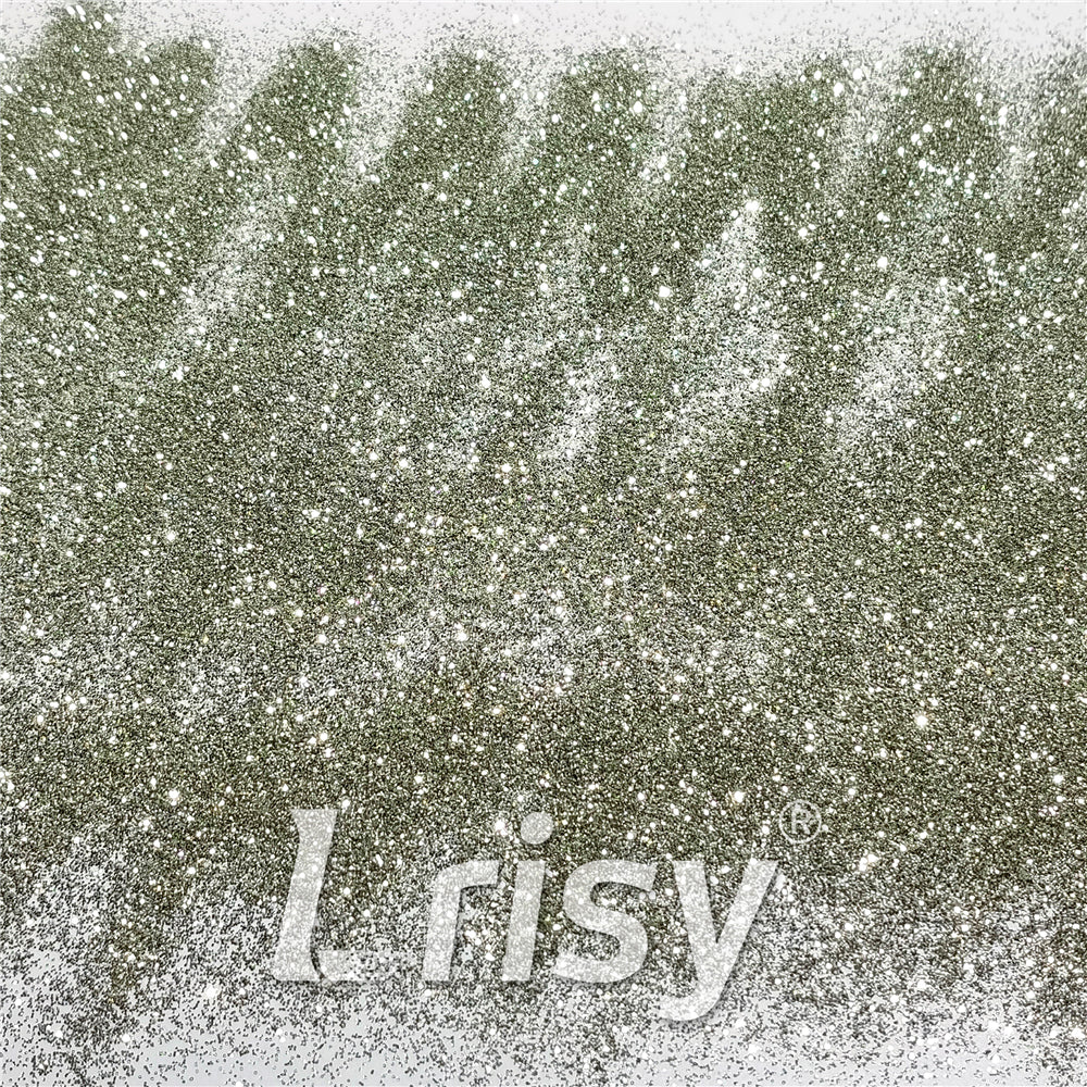 0.3mm Champagne Silver Glitter Pure Color B0102