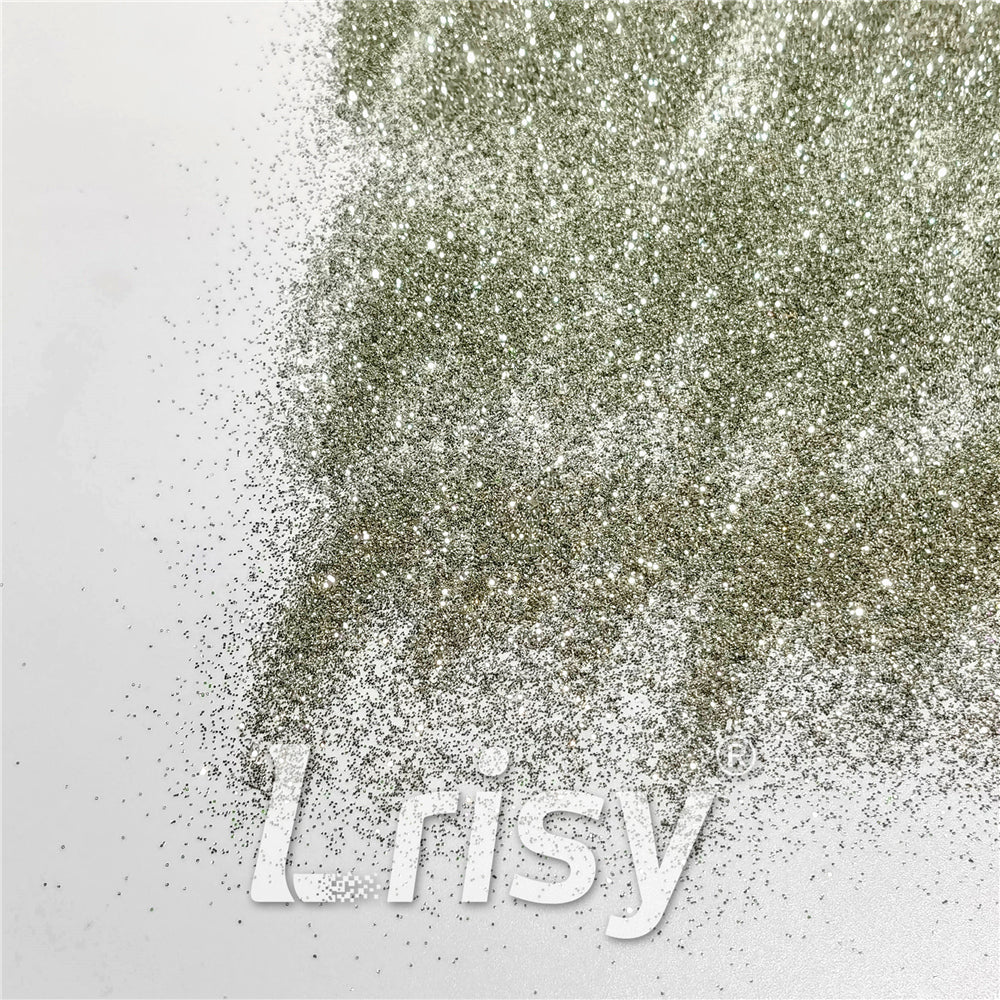 0.3mm Champagne Silver Glitter Pure Color B0102