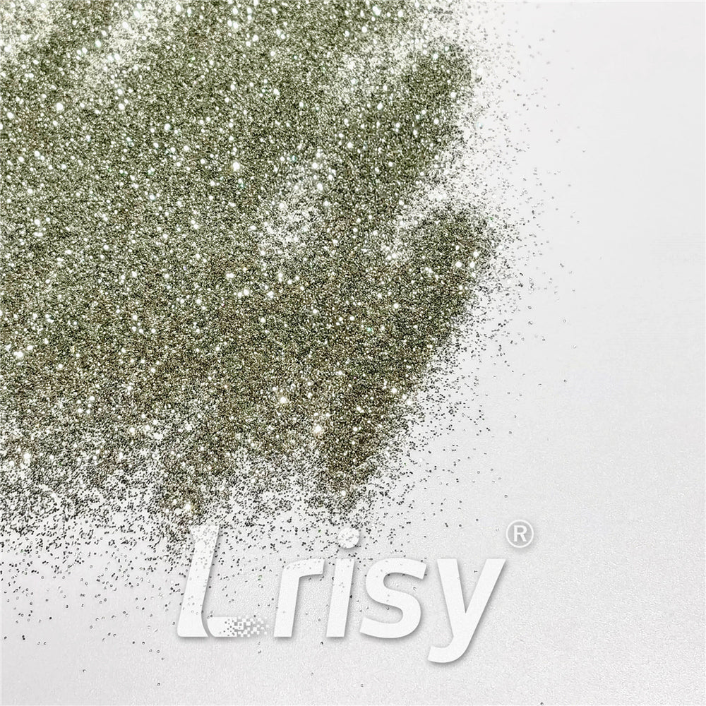 0.3mm Champagne Silver Glitter Pure Color B0102
