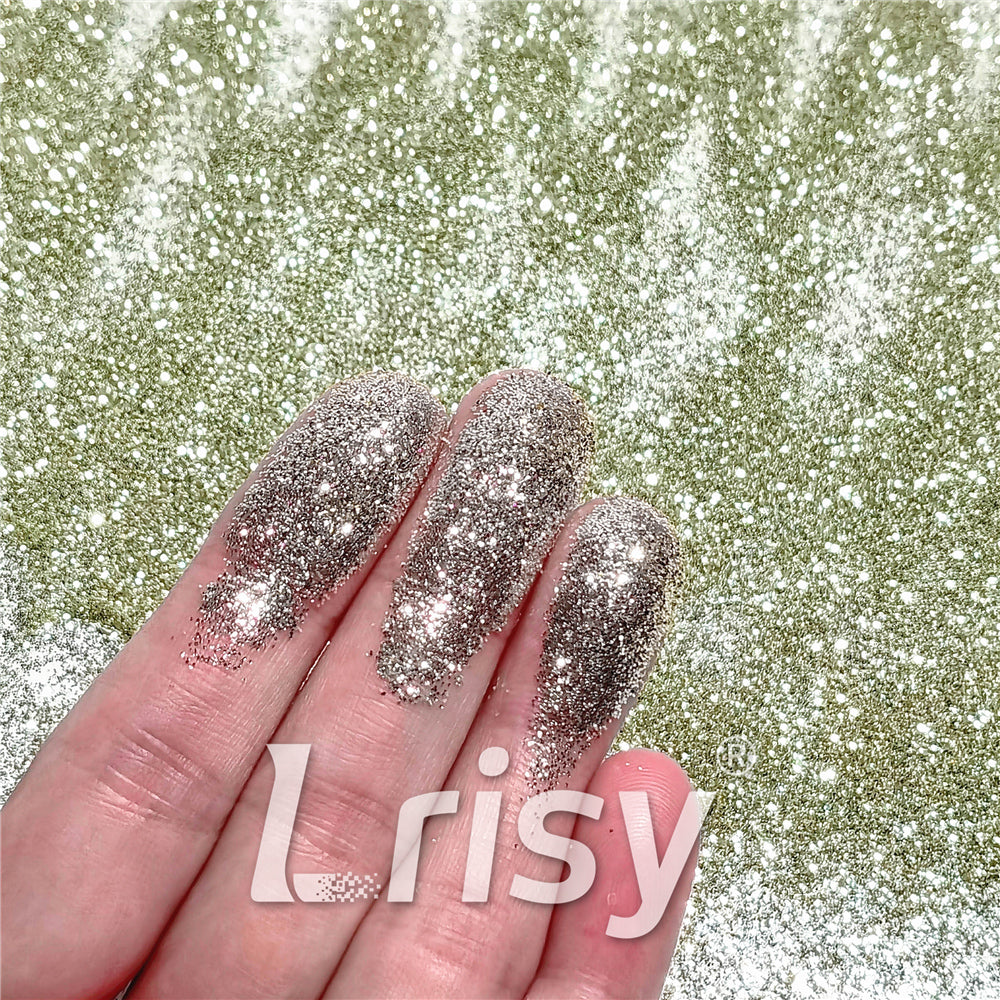 0.3mm Champagne Silver Glitter Pure Color B0102