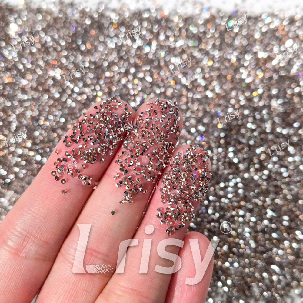 0.8-1mm Champagne Silver Pointed Back Rhinestones PRS201