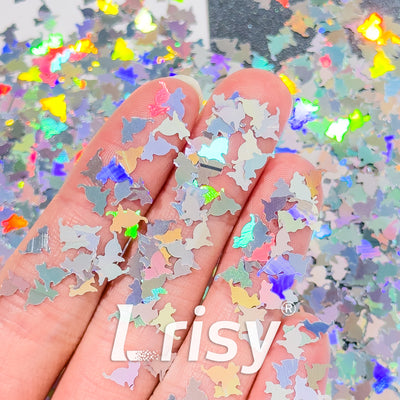 Holographic Glitter For DIY Dress, Heels Or Shoes, Nails, Crafts – Lrisy