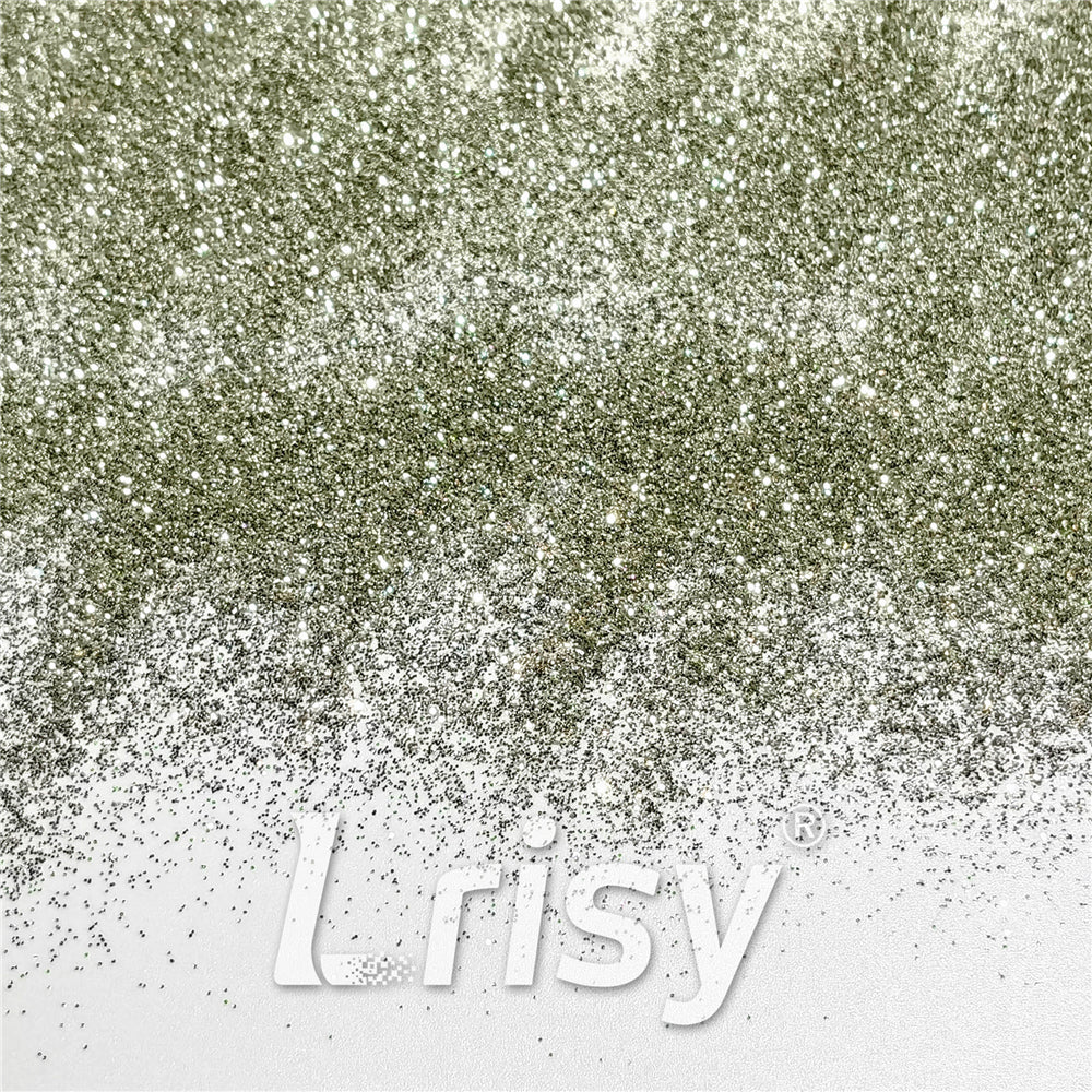 0.3mm Champagne Silver Glitter Pure Color B0102
